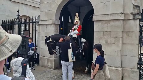 Tourist won't stop patting the horse comes to the attention of the police #horseguardsparade