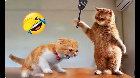 Get Ready to LOL: Funniest Animals 2023 😂 New Funny Cats and Dogs Videos 😻🐶 Part 1!