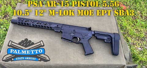 PSA AR15 PISTOL TRUCK GUN/HOME DEFENSE/PATROL GUN
