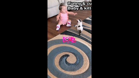 Cute Baby Plays With Kitten!