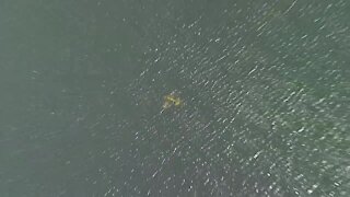 Small plane crashes into Hillsborough Bay | Action Air 1