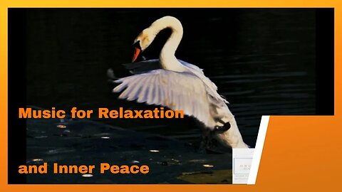 Over One Hour of Relaxing Sounds | Harp | Swan Visuals | Inner Peace