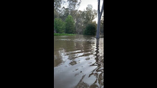 Australian flooding leaves hundreds without power in Victoria