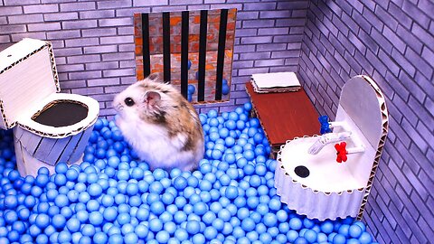 escapes the awesome maze for Pets in real life 🐹 in Hamster stories