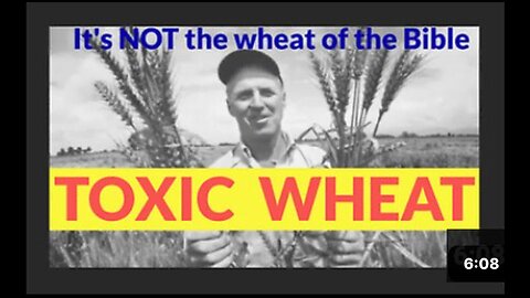 What did they do to WHEAT? TOXIC wheat? Opioids in your wheat? Schizophrenia link?