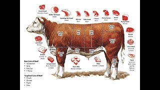 Is Our Food Supply Safe? The Beef with The Beef Industry!