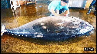 You won't believe what they caught from the deeper ocean ...