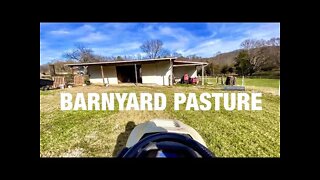 Barnyard Pasture 🐐