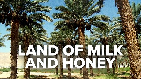 Biblical Prophecy is Being Fulfilled in the Land of Milk and Honey 10/03/2023