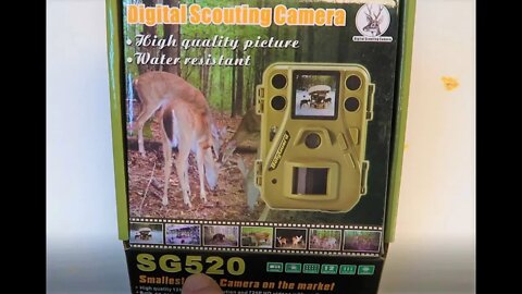 Best Budget Trail Camera - Setup with Image Examples - Boly Trail Camera SG520