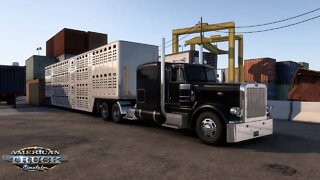 ATS Gameplay | Peterbilt 389 | Barstow CA to Bakersfield CA | Live Cattle 31,371lb