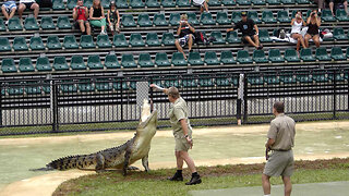 Steve Irwin Crocodile Hunter Australia Zoo