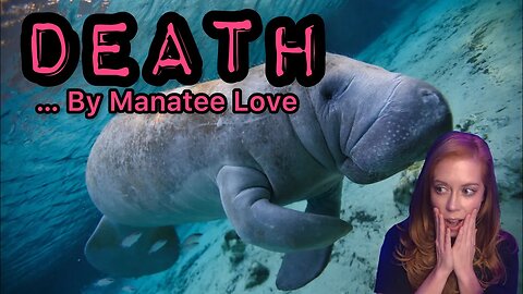 Manatee Murder in Florida Aquarium! Death by Brotherly Love? WEIRD & SAD Story! Chrissie Mayr Reacts