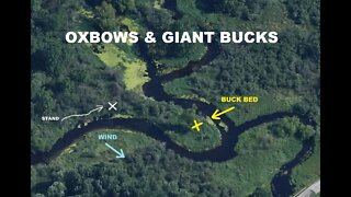 OXBOWS & GIANT BUCKS