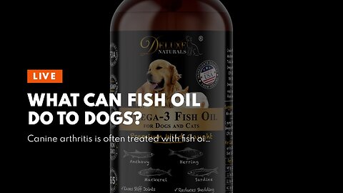 What can fish oil do to dogs?