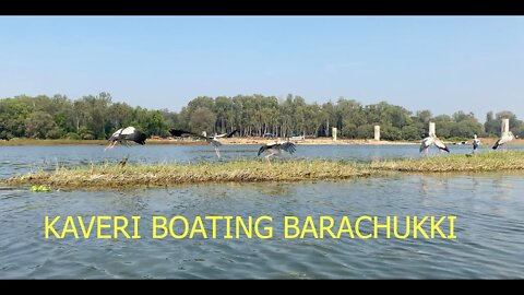 Kaveri Row Boating Barachukki | Close Bird Encounters #youtube