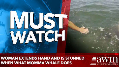 Woman Extends Hand And Is Stunned When what momma whale does