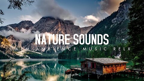 4K Nature Cinematography | Cinematic Background Music || NIKON D5300