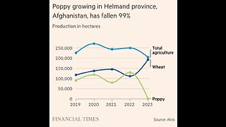 ‼️Afghanistan prohibits the cultivation of poppies‼️ You just thought they are our foes..