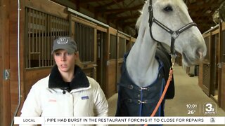 Equestrian community helps Bennington farm