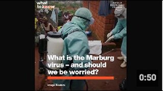 WEF | World Economic Forum officially began to advertise the Marburg virus🤔