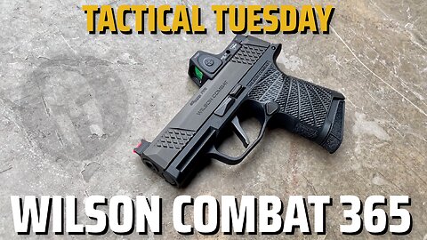 Wilson Combat Sig 365 - Tactical Tuesday