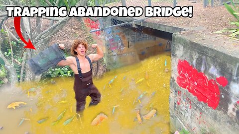 Trapping AQUARIUM FIsh From ABANDONED Bridge!