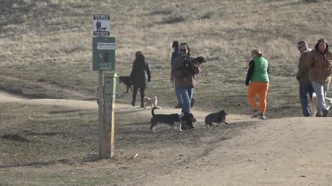 Volunteers pick up dog waste at Harrison Hollow Preserve in the foothills