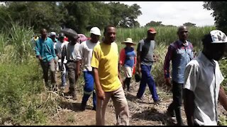 SOUTH AFRICA - KwaZulu-Natal - Crocodile terrorises villagers (Videos) (kE4)