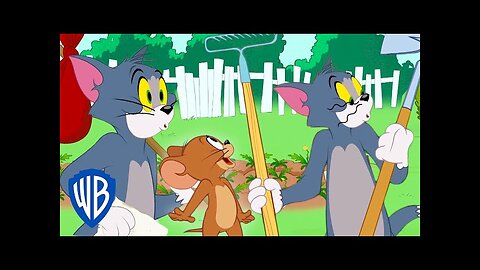 Tom & Jerry | Tom Goes Home | WB Kids