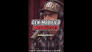 GEN-MODIFIED MOSQUITOES, SOUND LIKE A GOOD IDEA.