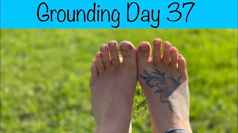 Grounding Day 37 - morning dew