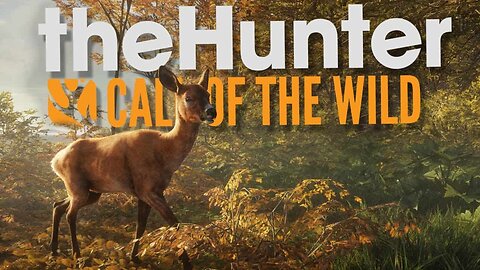 🔴 Let's Hunt? THQ the Hunter Call of the Wild | Live