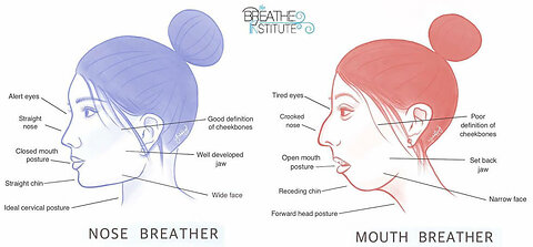 How to Recognise Attractive (Horizontal) & Unattractive (Vertical) Faces by Prof John Mew