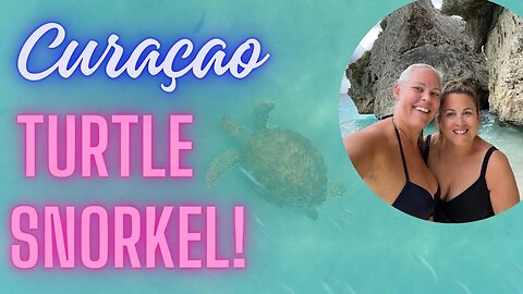 WOAH! We SWAM with TURTLES in Curaçao!