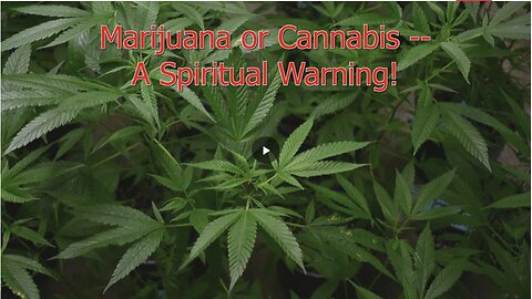 Marijuana or Cannabis – A Spiritual Warning