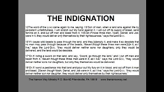 THE INDIGNATION