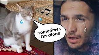 The Kiffness x Lonely Cat - Sometimes I'm Alone (Singing Cat)