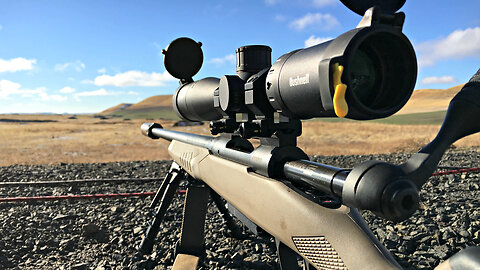 Bushnell Nitro 4-16x Scope