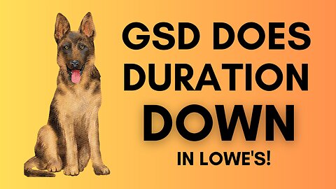 GSD Does Down with Duration at Lowe’s | Expert Dog Training