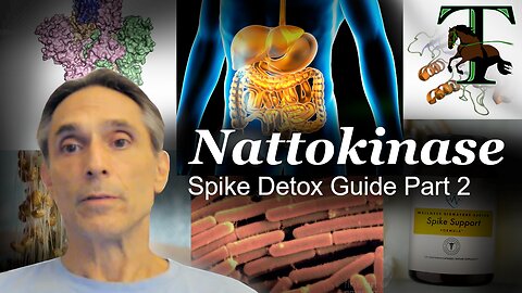 Nattokinase | Covid “Vaccines” Detox | Part 2