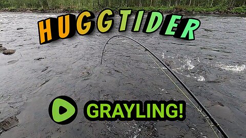 Catching a grayling with helicopter sized mosquitoes buzzing around. w/ English subtitles