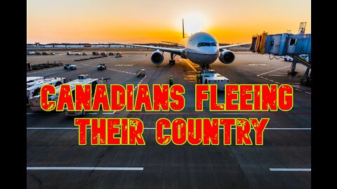 Canadians Are Fleeing Canada at a Frantic PACE ! Mass exodus - More Brain Drain !