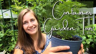 Container Garden Tour | July 2023 Zone 6