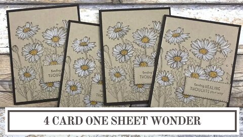 4 Card One Sheet Wonder | Stampin' Up! Daisy Garden