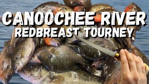 Fishing a REDBREAST TOURNAMENT on the Canoochee River!