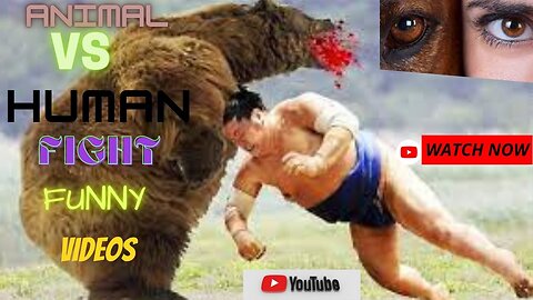 Animals Crazy Moments | Episode 148