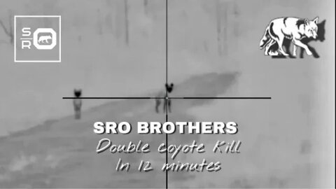 SRO Brothers Double Coyote Kill in 12 Minutes — Turkey Season Giveaway