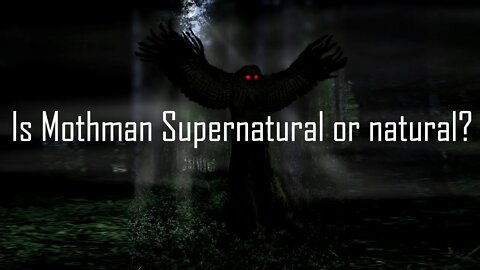 Is Mothman Supernatural or Natural? Lon Strickler