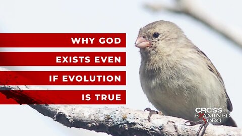 Why God exists even if evolution is true
